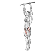hanging leg raise animación