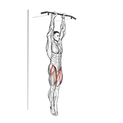 hanging straight leg raise animación
