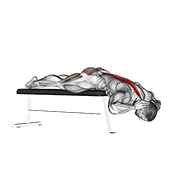 hyperextension (on bench) animación