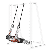 inverted row with straps animación