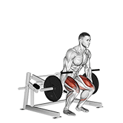 lever deadlift animación