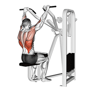 lever front pulldown animación