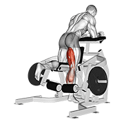 lever kneeling leg curl animación