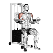 lever lateral raise animación