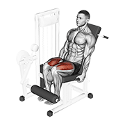 lever leg extension animación