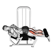 lever lying leg curl animación