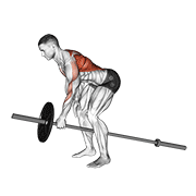 lever one arm bent over row animación