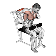 lever overhand triceps dip animación