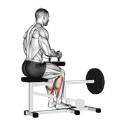 lever seated calf raise animación