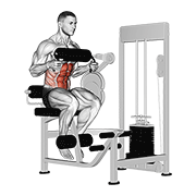 lever seated crunch (chest pad) animación