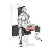 lever seated hip adduction animación