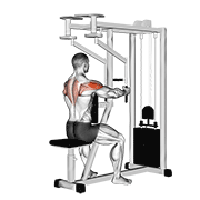 lever seated reverse fly (parallel grip) animación