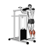 lever standing calf raise animación