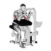 lever triceps extension animación