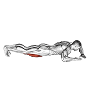 lying (side) quads stretch animación