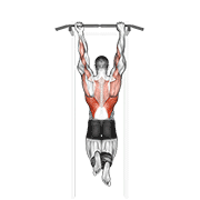 mixed grip chin-up animación