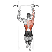 one arm chin-up animación