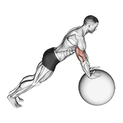 push-up (on stability ball) animación
