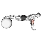 push-up (on stability ball) animación