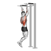 reverse grip pull-up animación