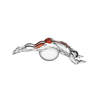 reverse hyper extension (on stability ball) animación