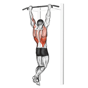 rocky pull-up pulldown animación