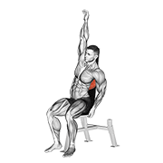 seated lower back stretch animación
