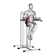 side hip (on parallel bars) animación