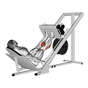 sled 45в° calf press animación