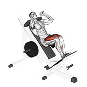 sled closer hack squat animación