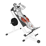 sled hack squat animación