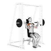 smith shoulder press animación