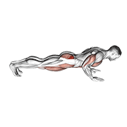 spider crawl push up animación