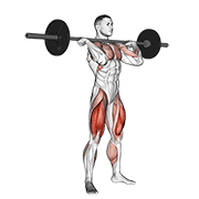 squat jerk animación
