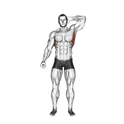 standing lateral stretch animación