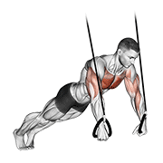 suspended push-up animación