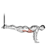 suspended reverse crunch animación