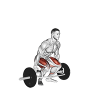 trap bar deadlift animación