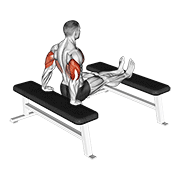 triceps dip (bench leg) animación