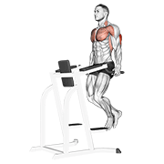 triceps dip animación