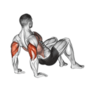 triceps dips floor animación