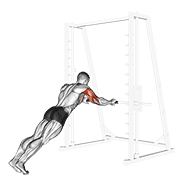 triceps press animación