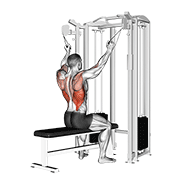 twin handle parallel grip lat pulldown animación