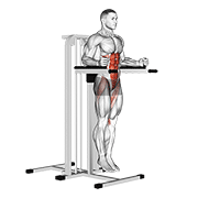 vertical leg raise (on parallel bars) animación