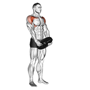 weighted front raise animación
