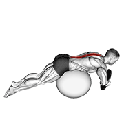 weighted hyperextension (on stability ball) animación