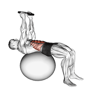 weighted overhead crunch (on stability ball) animación