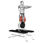 weighted squat animación