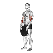 weighted standing curl animación