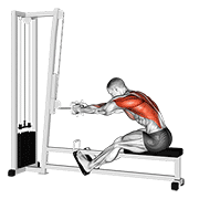 cable seated row animación